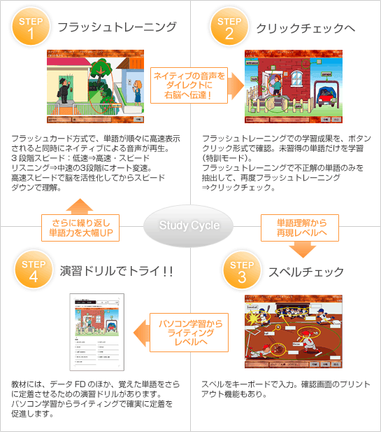 Study Cycle